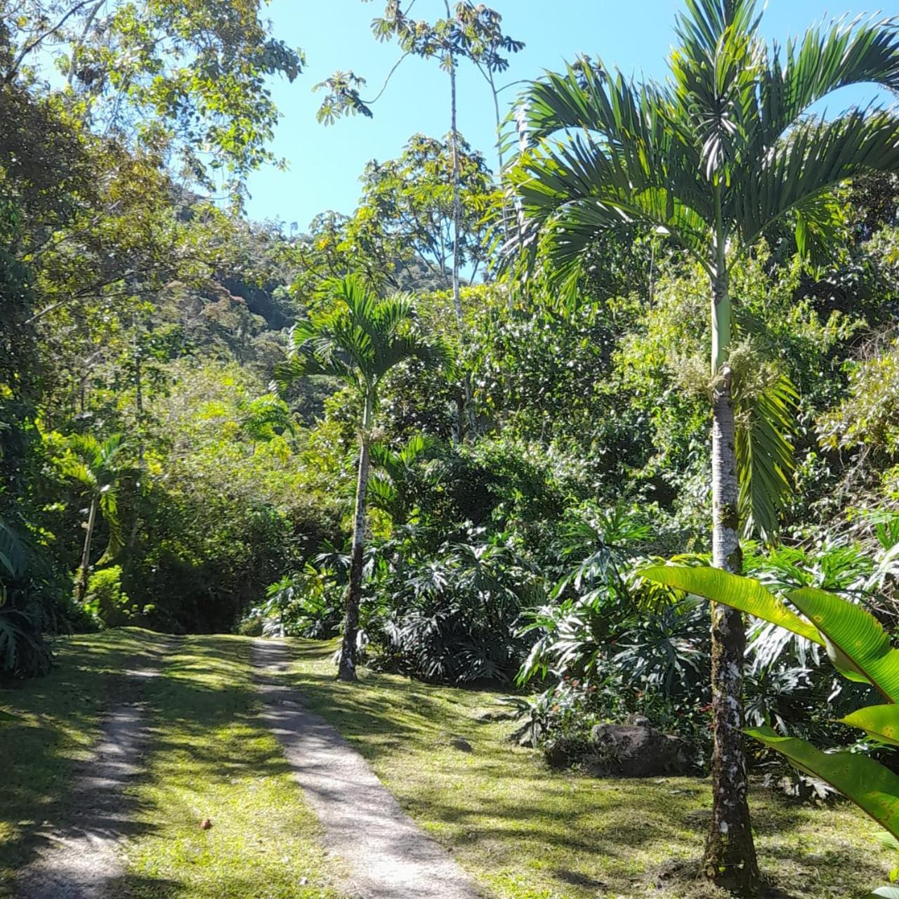 Corredores del Pacuare La Suiza Exterior foto